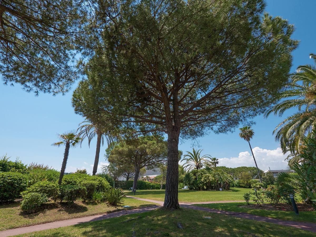 Hôtel Bahia Villeneuve-Loubet Extérieur photo
