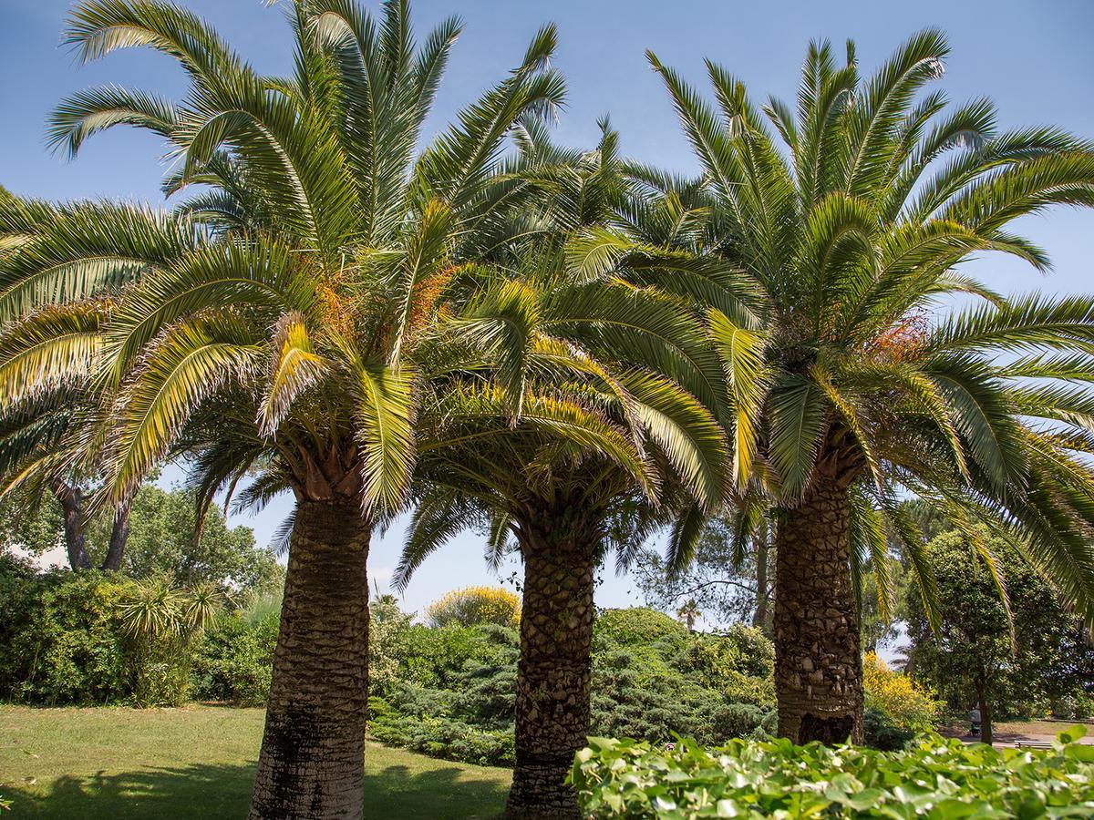 Hôtel Bahia Villeneuve-Loubet Extérieur photo