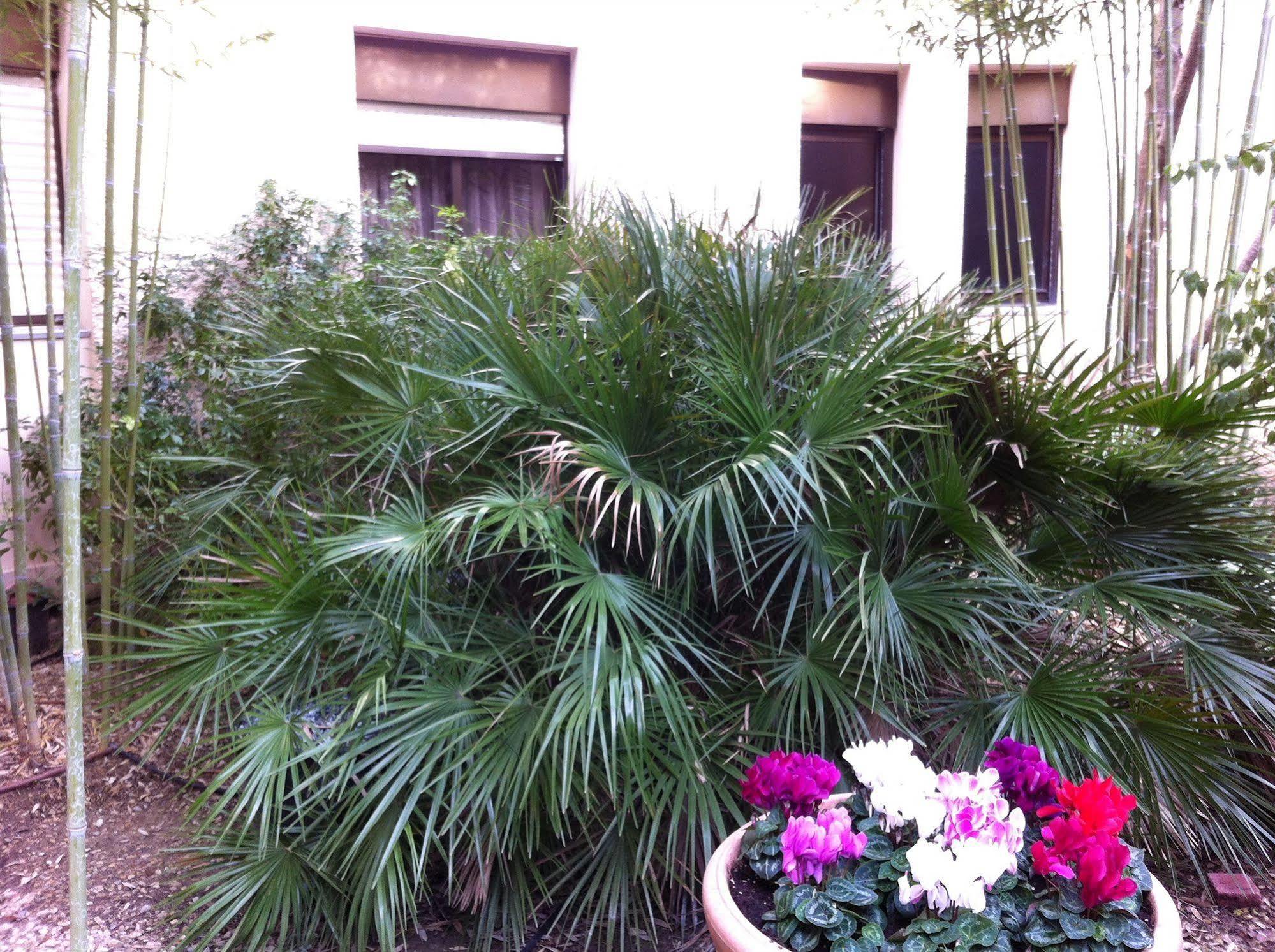 Hôtel Bahia Villeneuve-Loubet Extérieur photo